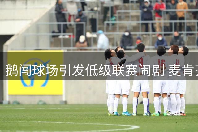 鹅闯球场引发低级联赛闹剧 麦肯齐补时红牌成笑柄